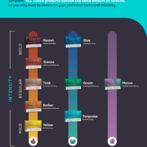 IQOS TEREA | Heat-Not-Burn Tobacco Sticks (20pcs/pack) - Image 2