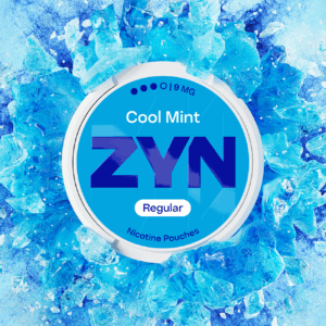 ZYN Nicotine Pouch REGULAR 9mg - Image 5